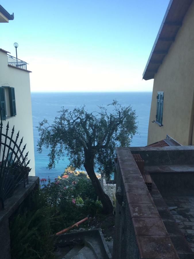 House In Grimaldi. Spectacular View Over The French Riviera! Grimaldi  Zewnętrze zdjęcie